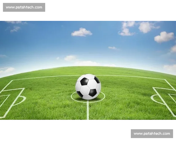 以快速反击为核心构建攻防一体制胜发展新格局与新优势战略布局